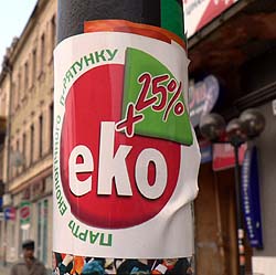 Вибори в Закарпатті